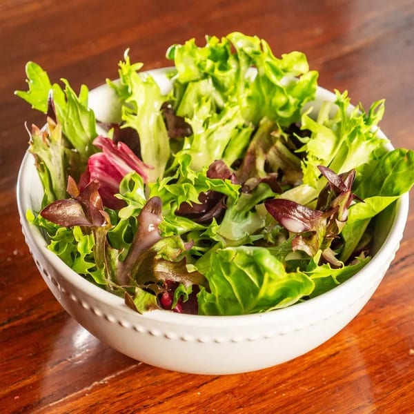A white bowl filled with fresh green and red leaf lettuce on a wooden table.